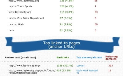 Layton SEO Infographic